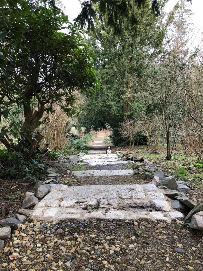 קאמנץ Apartment Am Hutberg מראה חיצוני תמונה